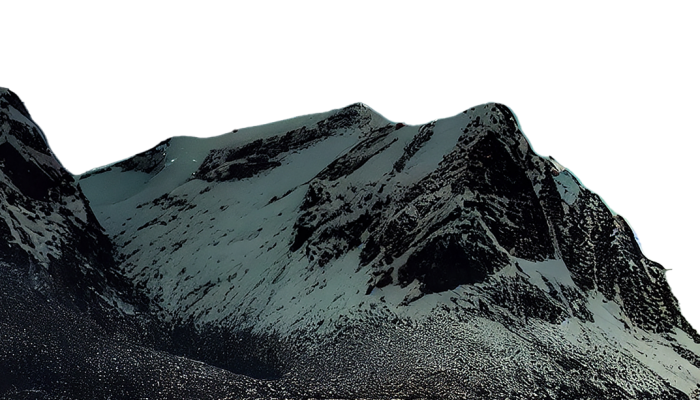 mt1